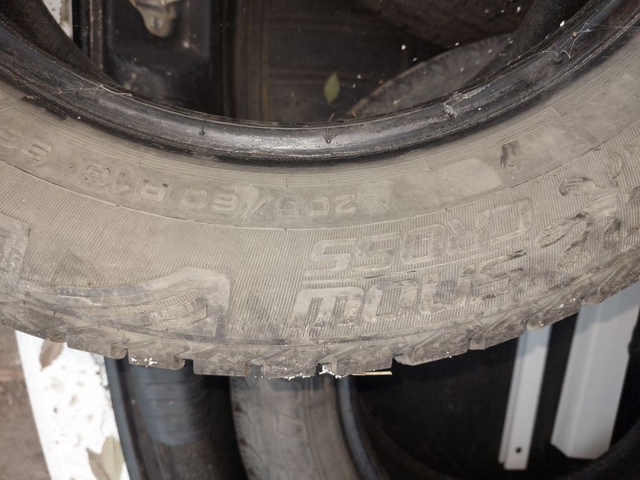 Шины.   Кардиант