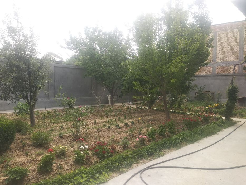 Sotiladi: Uchastka 5,50 sotuk 6 ta xona.