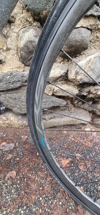 Cannondale synapse ultegra   carbon /ciclocross cursiera