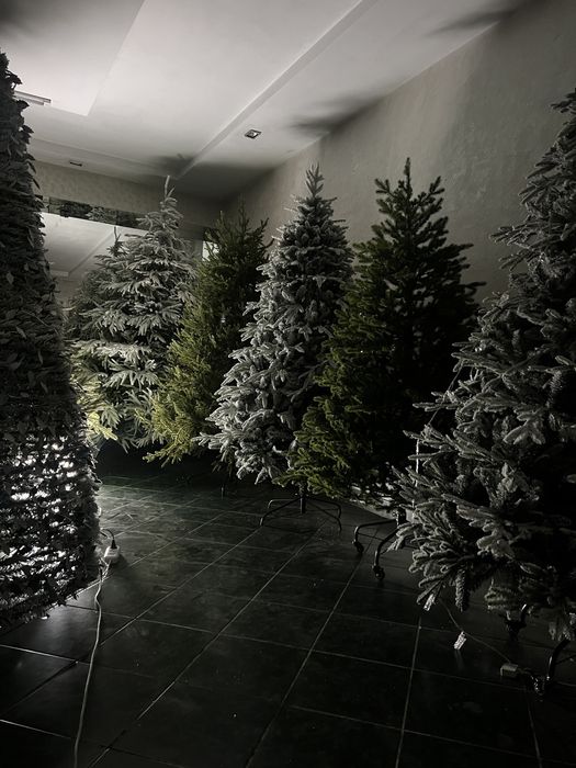 Прокат Елки