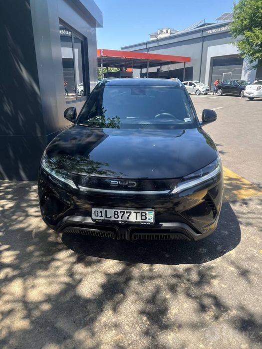 BYD yuan up sotiladi