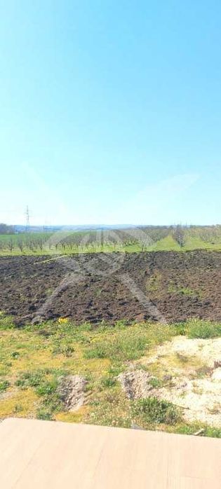 Продава се Парцел в с. Константиново, Област Бургас - 24700 кв.м за 13 €/кв.м - Снимка #4