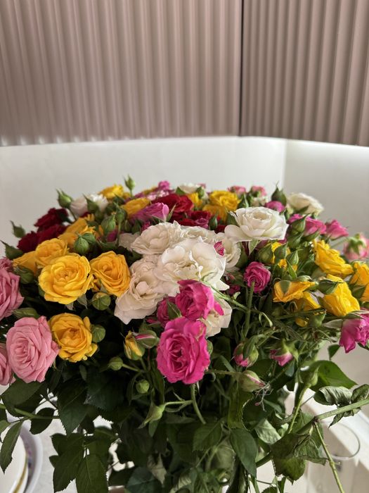 продам цветы