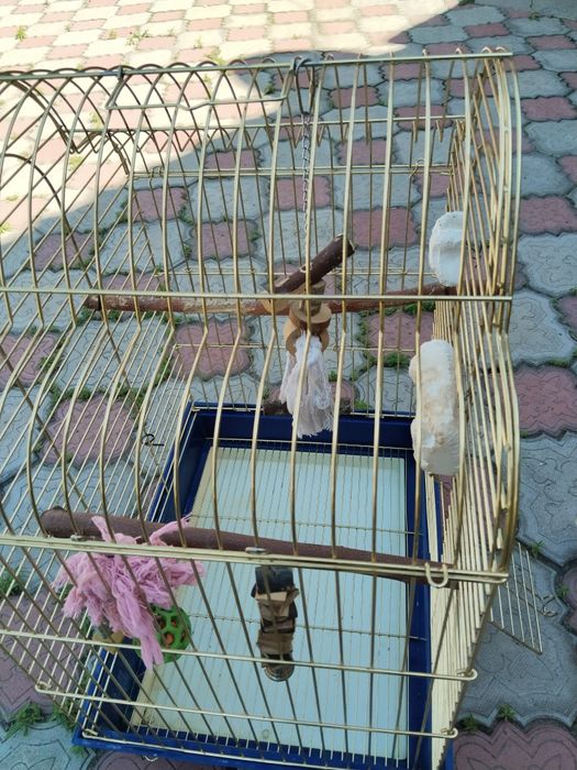 Клетка для попугаев