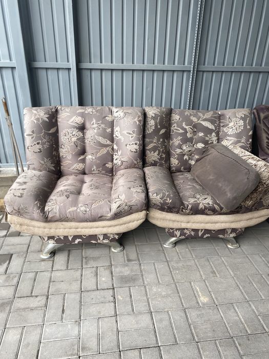 Отдам бесплатно