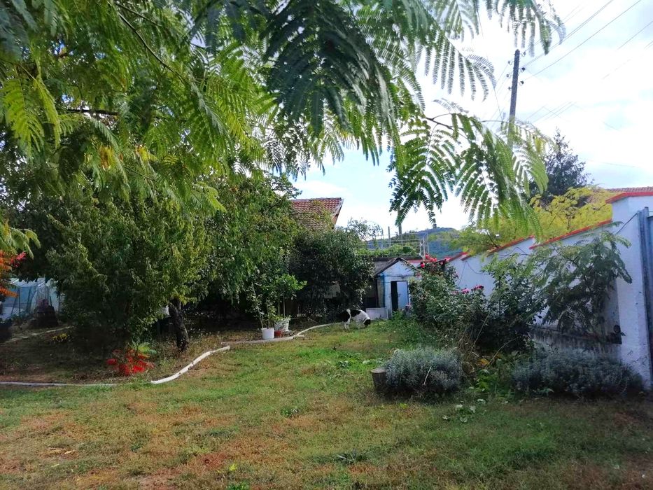 Продава се Парцел в с. Търнава, Област Ямбол - 1000 кв.м за 31 €/кв.м - Снимка #6