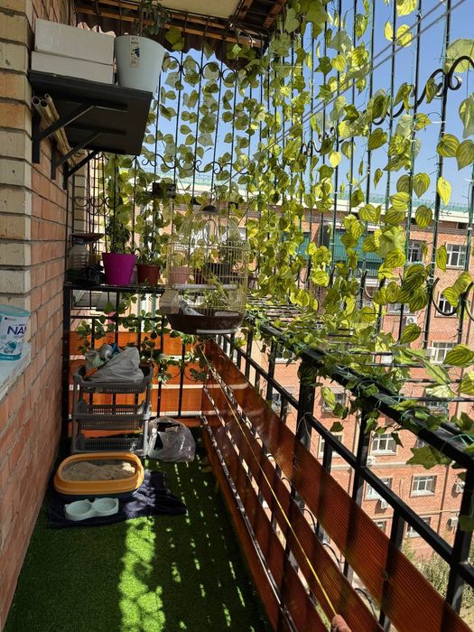 Янги хает Новостройка