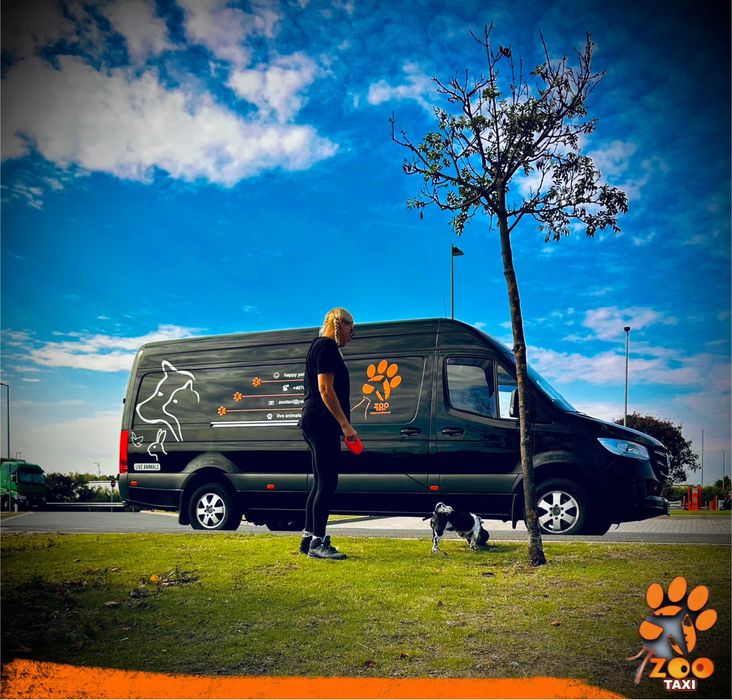 Transport caini si pisici