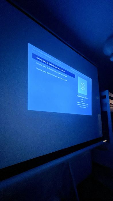 Экран для проектора, проекционный экран