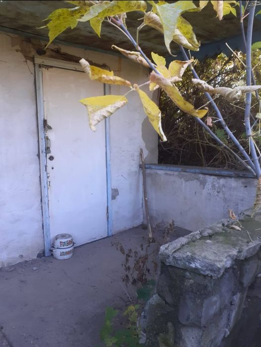 Продам дачу сад Мелиоратор . 6 соток , цена 400 тыс тенге.