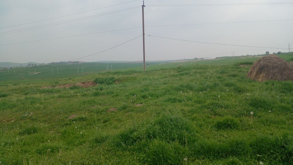 Тошкен вилояти охангарон тумани shodmalik ota  махалласида уй сотилади