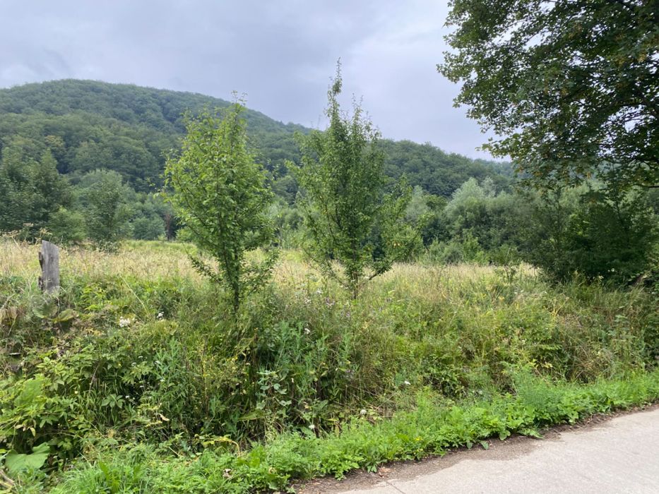 Vand Urgent / Teren Sucevita / ZONA SOARECULUI