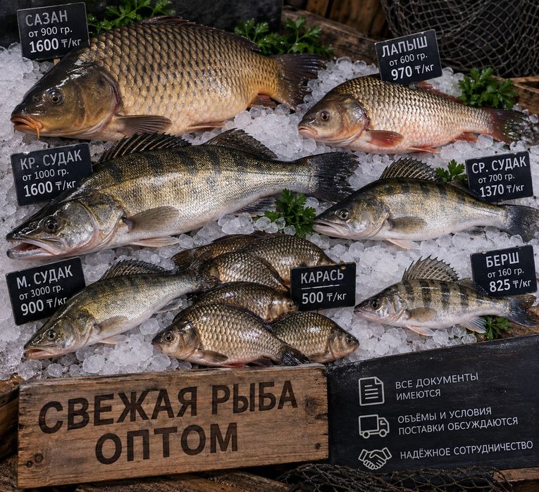 Рыба Оптом из балхаша