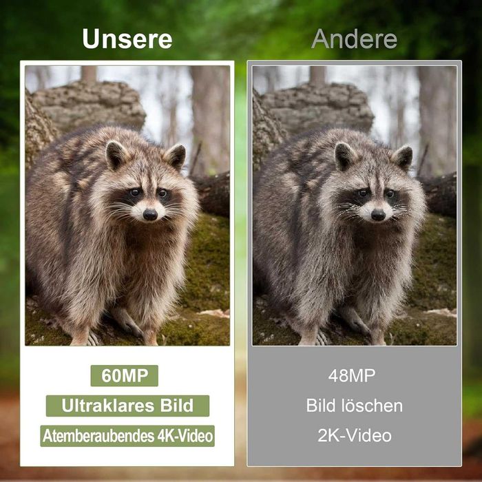 Lutranstra камера за дива природа
