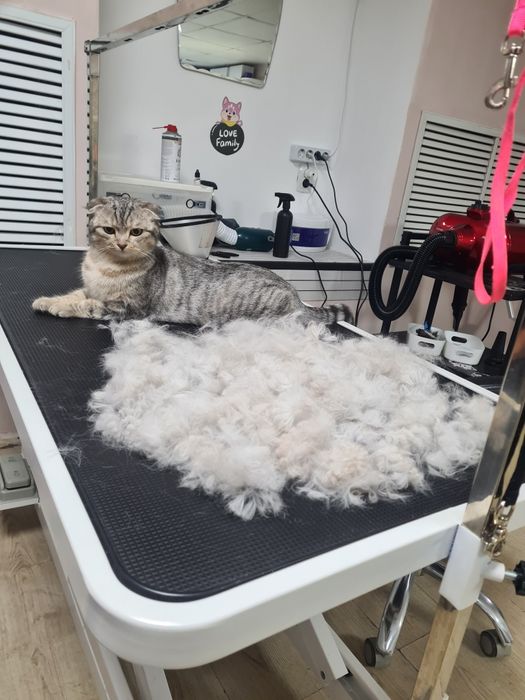 Груминг салон для животных