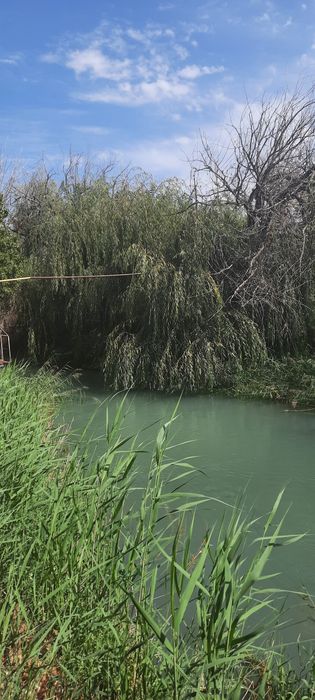 Кибрай дача.сув буйида