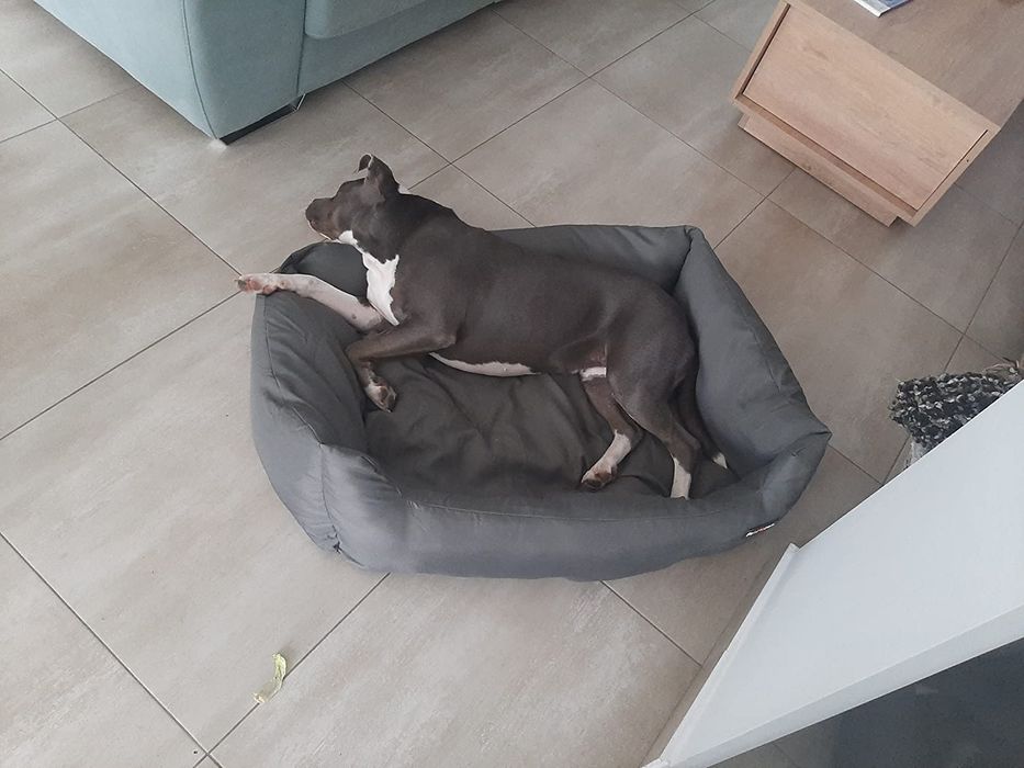 Удобно легло за домашни любимци, диван за кучешка къщичка, 100 x 70 см