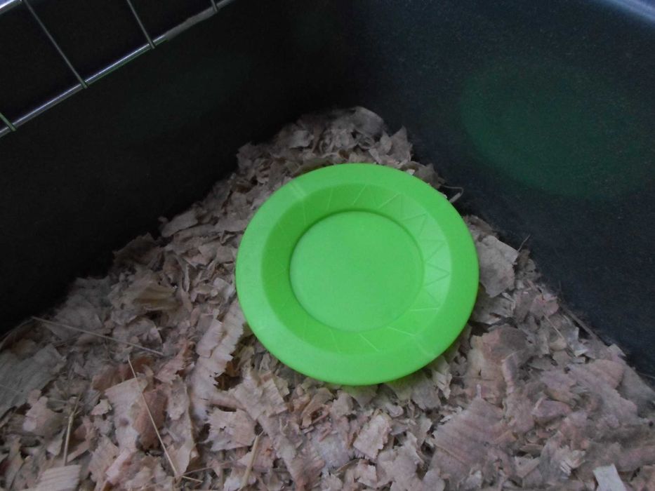 Клетка за морско свинче или друг гризач