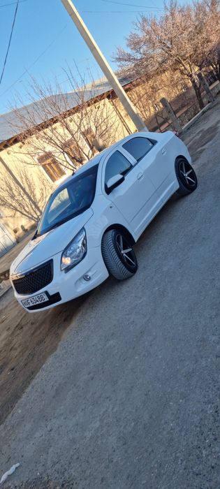 Kobalt radnoy sakaga alishtiraman