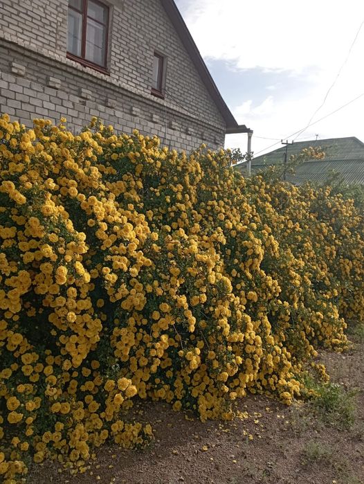 Продается 2-этажный коттедж