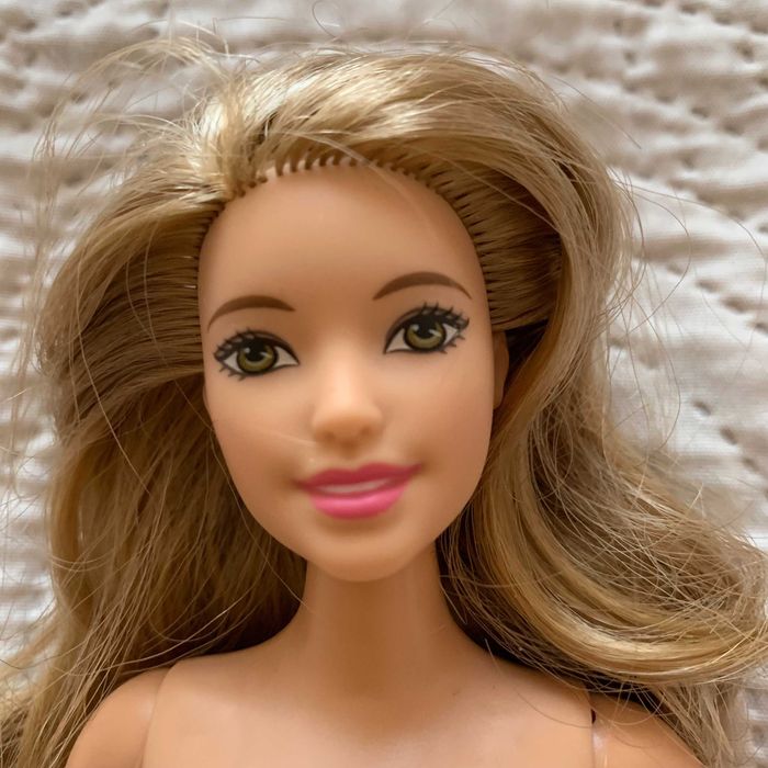 Barbie Fashionistas Doll #37 Everyday Chic Doll & Fashions Curvy