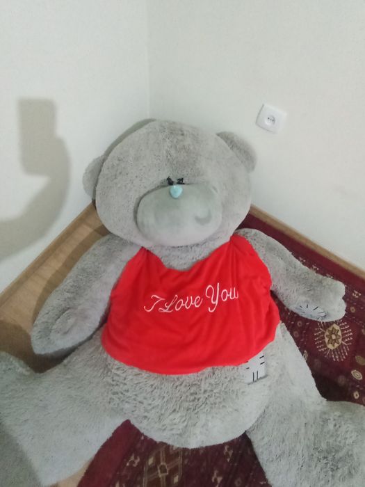 TEDDY  новый куплен просто лежит не нужный