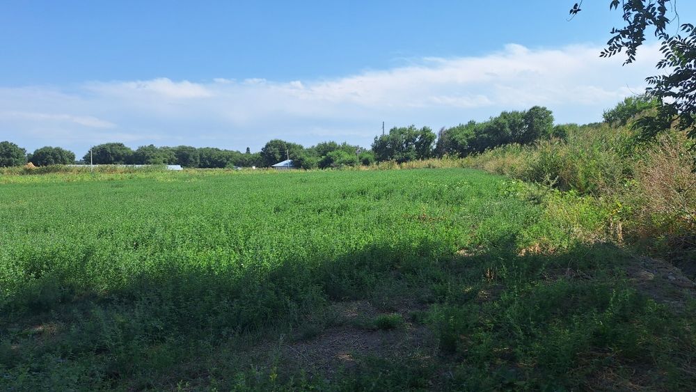 Продам земельный участок