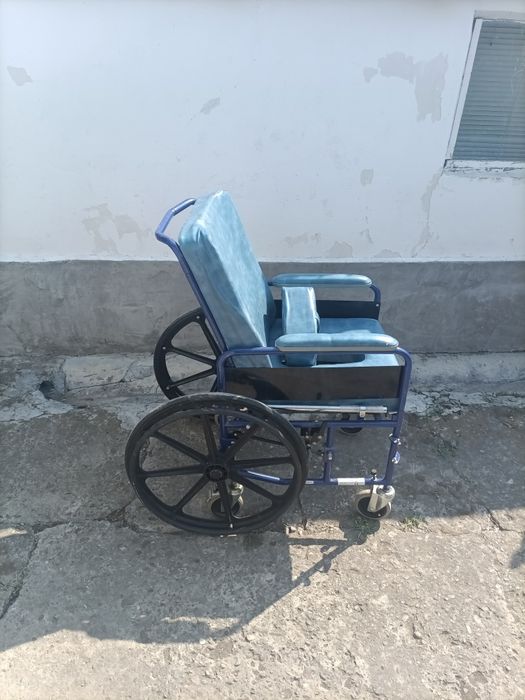 Carucior  dubla folosire (wc si plimbat )