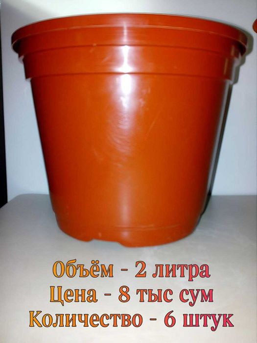 Разнообразные горшочки и ГРЯДКА для растений .