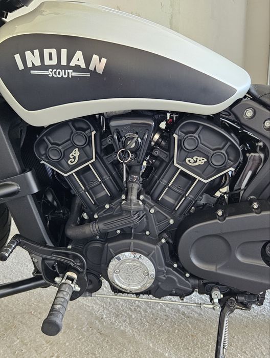 Indian sixty scout