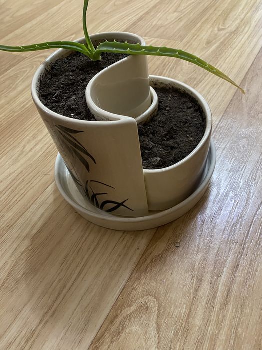 Горшок для цвнтов с поддоном