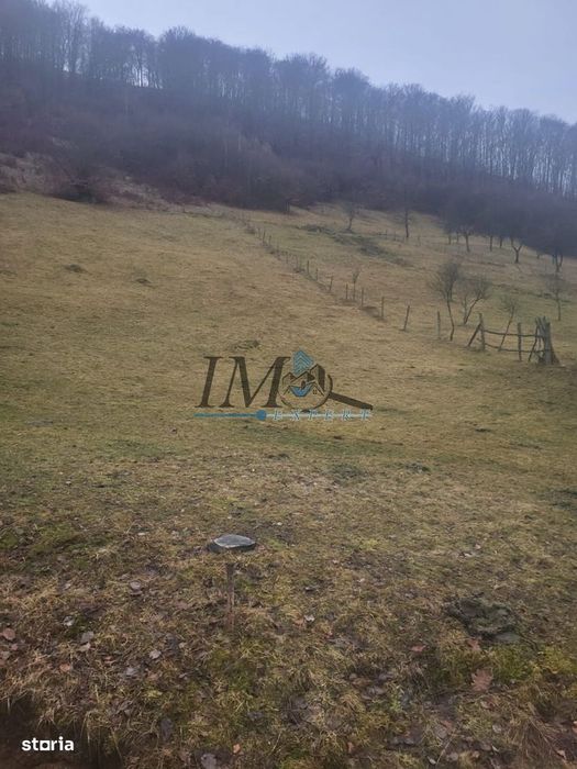 Teren Pentru Cabana Pe Valea Tonii