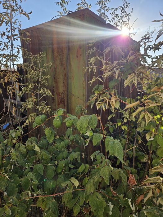 В продаже контейнер