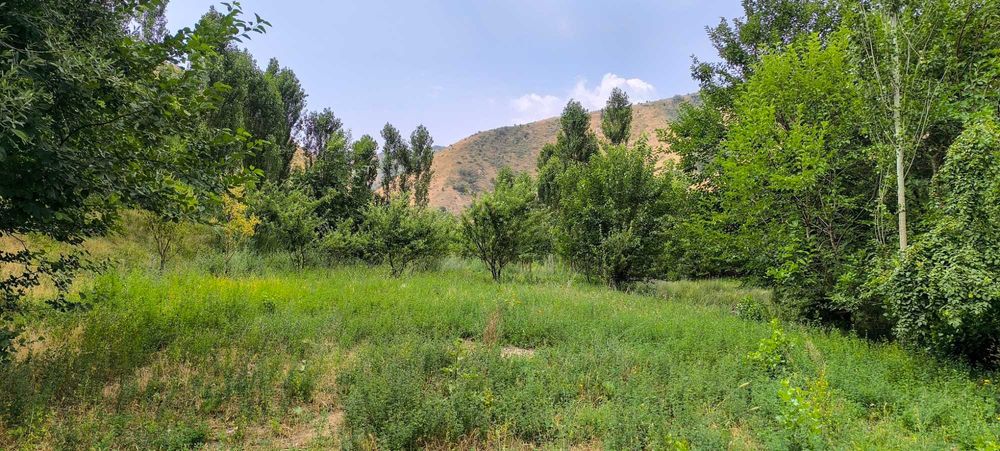 Сотилади. Экин экиш, чорвачилик ва дам олиш учун қулай ер