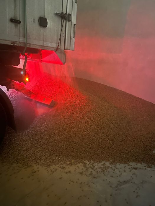 CGF Furaj Gluten de Porumb