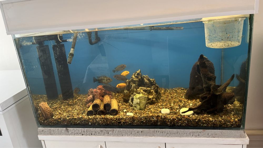 Продам Аквариум 400л