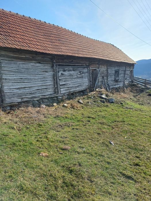 Constructii demontabile din lemn masiv de stejar