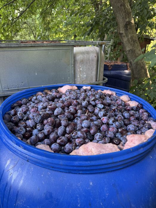 Vand pana la 1000kg Prune