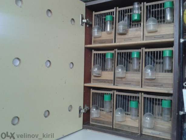 Дървени клетки и капани за птици