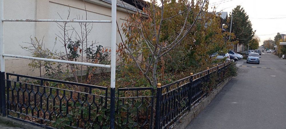 Toshkent shahar Olmazor tumani