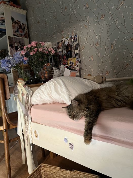 Кошка кошечка ласковая