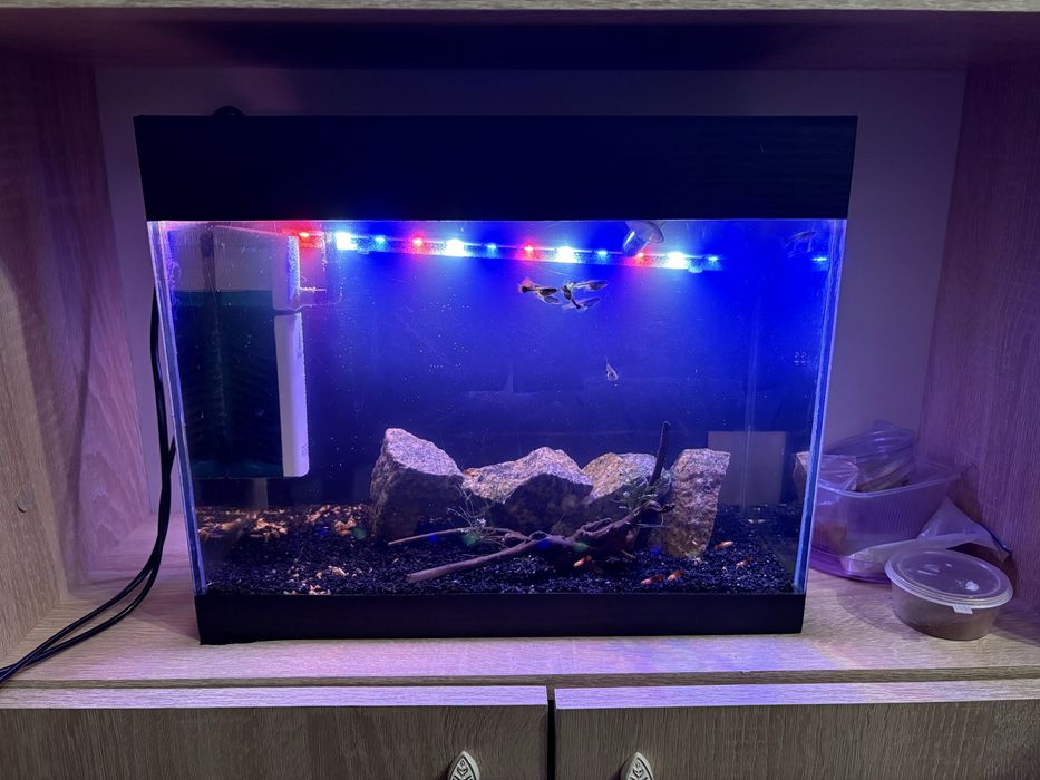 Продаи аквариум обьемом около 15 литров