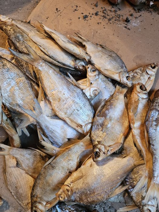 Рыба тарашка по 100 тн