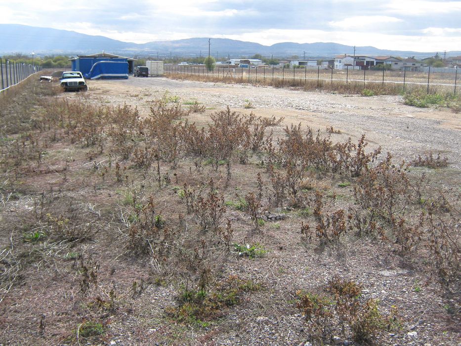 Продава се Парцел в с. Доброславци, Област София-град - 3400 кв.м за 59 €/кв.м - Снимка #3