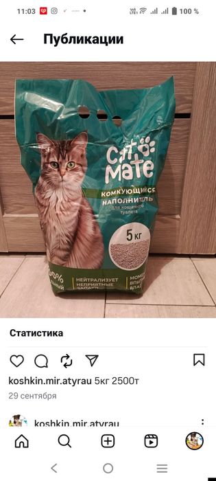 Наполнитель для кошек