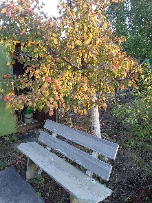 Продам дачу в обществе уралочка