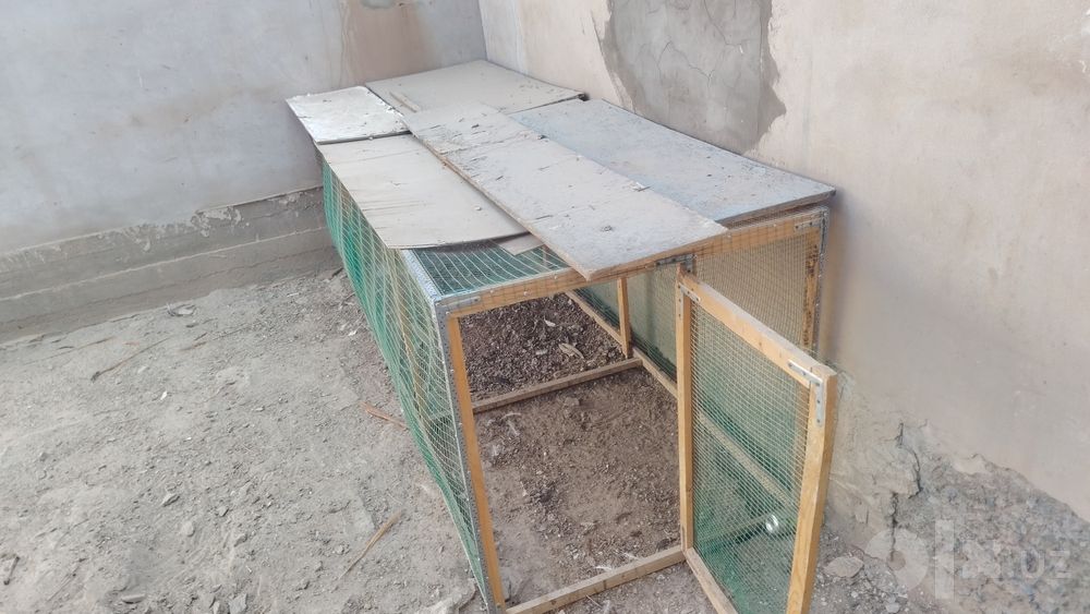 Tovuq xona 3 metrga 1metr