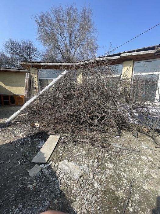 Бесплатно отдам дрова , дерево (урюк)