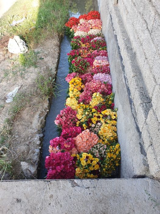 Ishda tukli dumbalarning porno suratlari