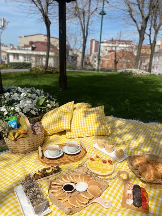 Коврик и сидушки для пикника